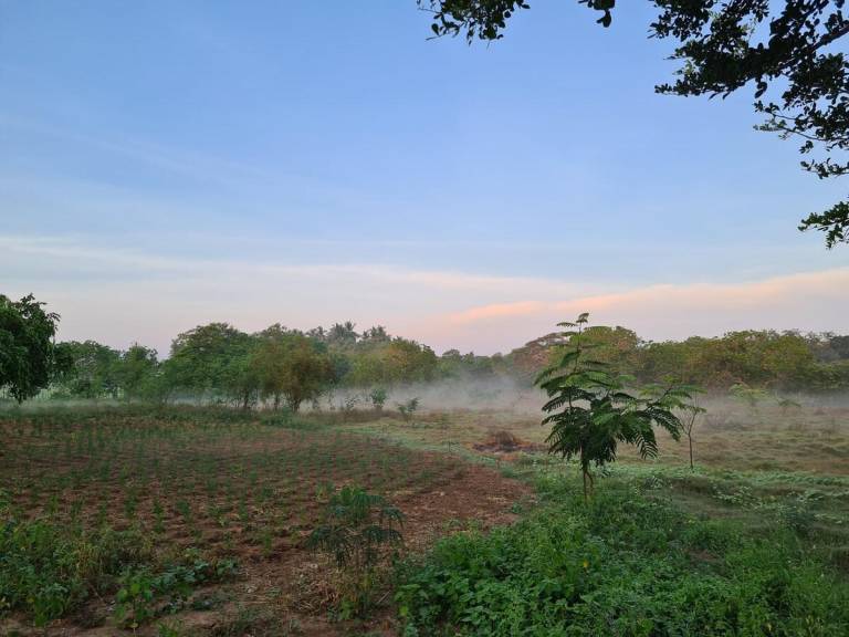 Villa with garden & barbeque — photo 5