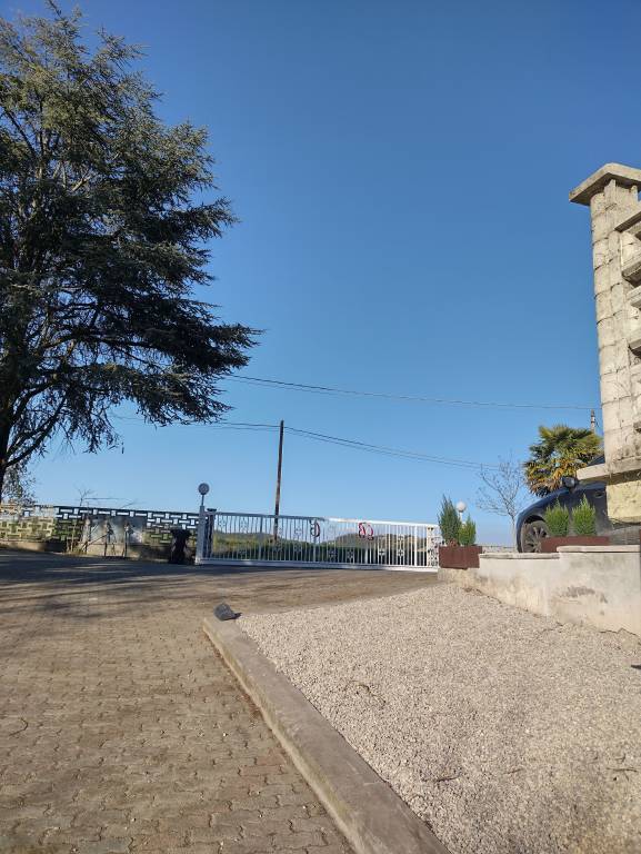 foto19