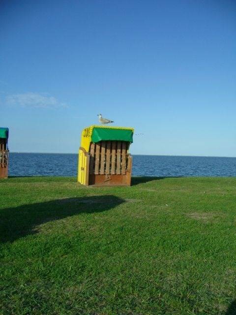 foto14
