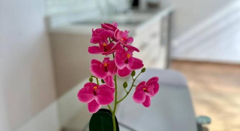 foto10