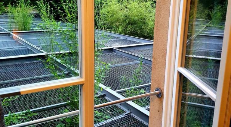 Holiday apartment with 1 room for 2 persons — photo 4