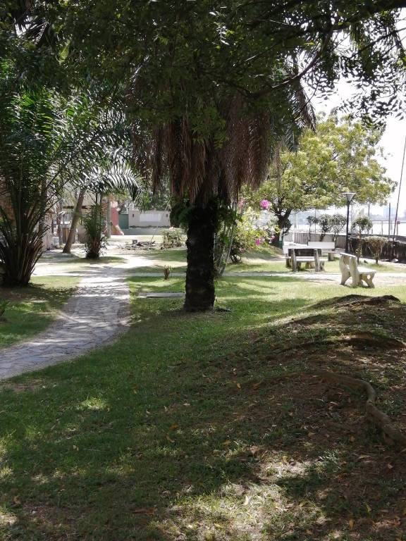 foto6