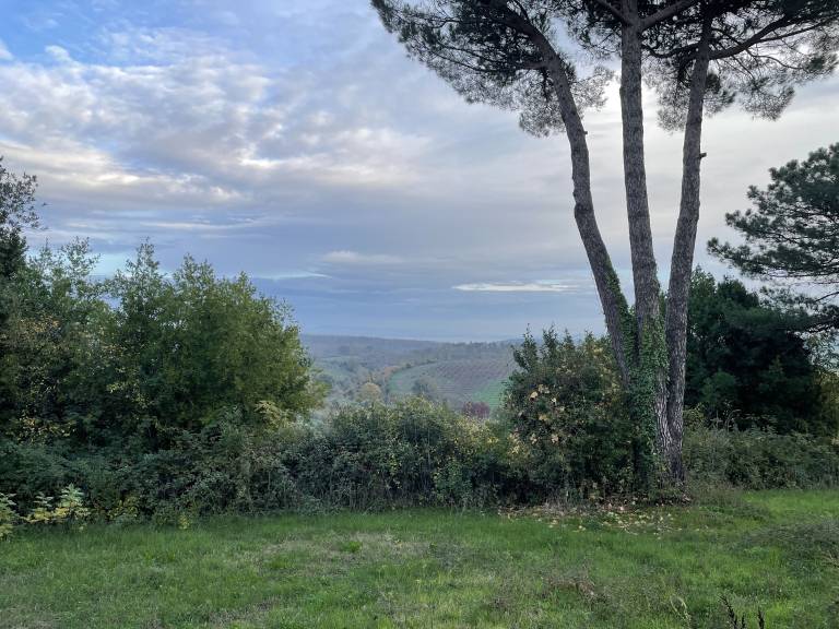 Villa Manziana