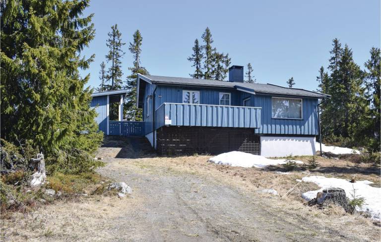 Feriehus Sjusjøen