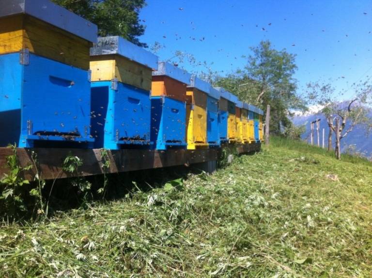 foto19