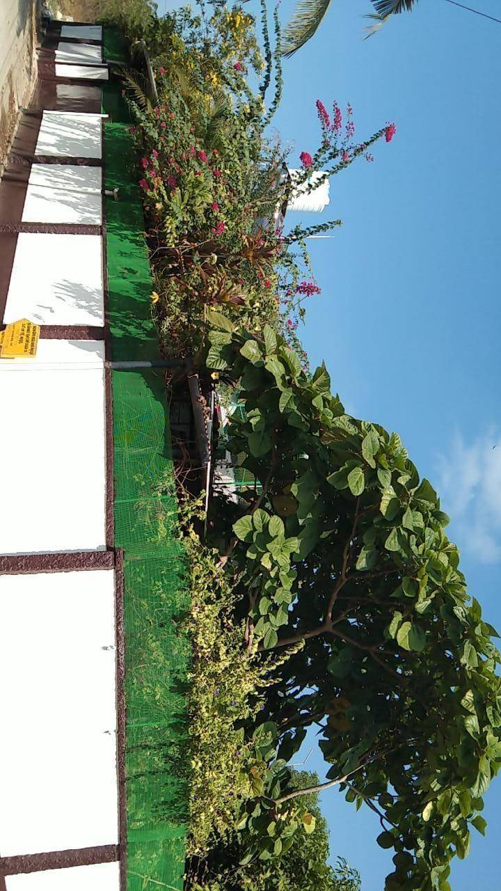 foto46