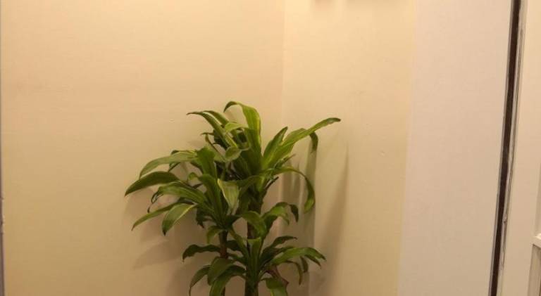 foto6