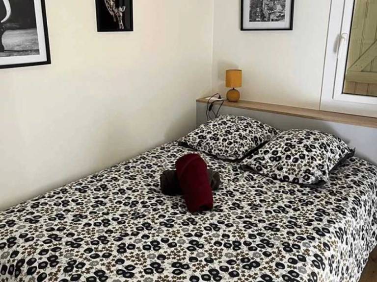 foto6
