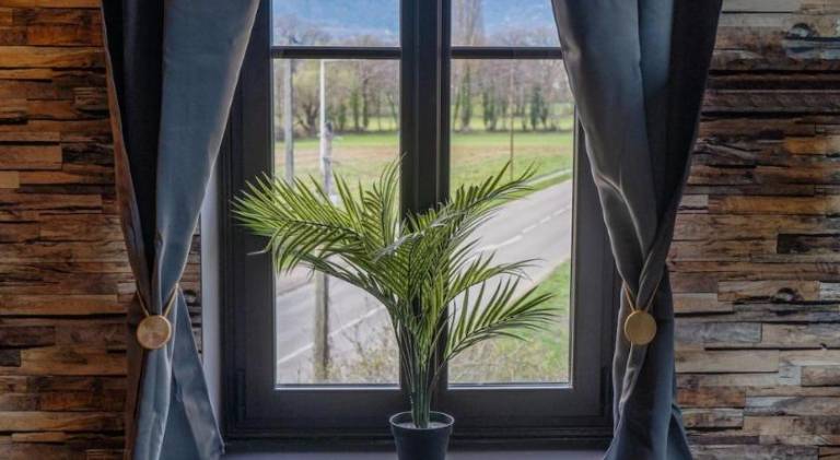 foto20