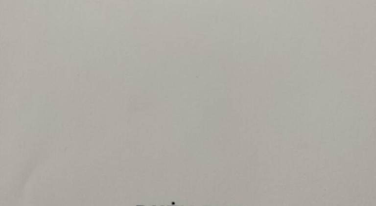 Hostel Texas Queen — photo 4