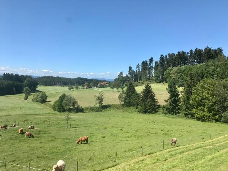 foto15