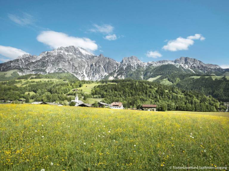 Ferienwohnung Maria Alm
