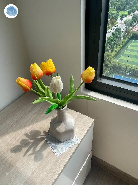 foto23