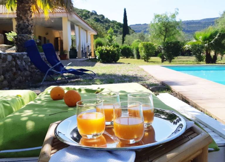 Villa with garden & private pool | Garden view — photo 4