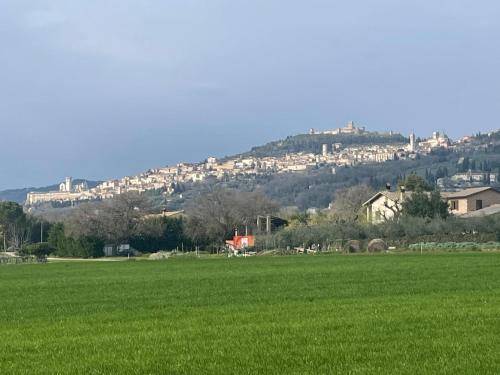Residenza Subasio Assisi in Assisi