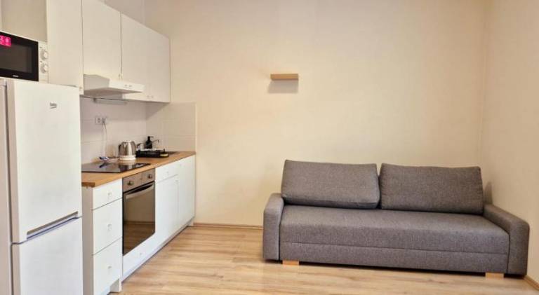 Holiday apartment | Pets allowed — photo 4