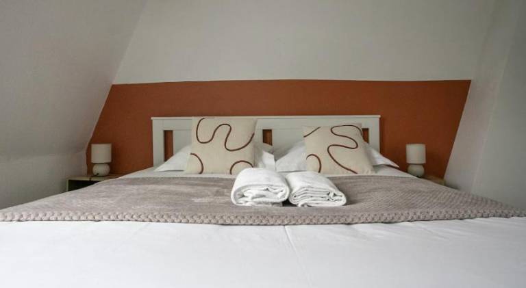 Beautiful holiday apartment | Near Lille Cathedral | Dogs allowed in Lille