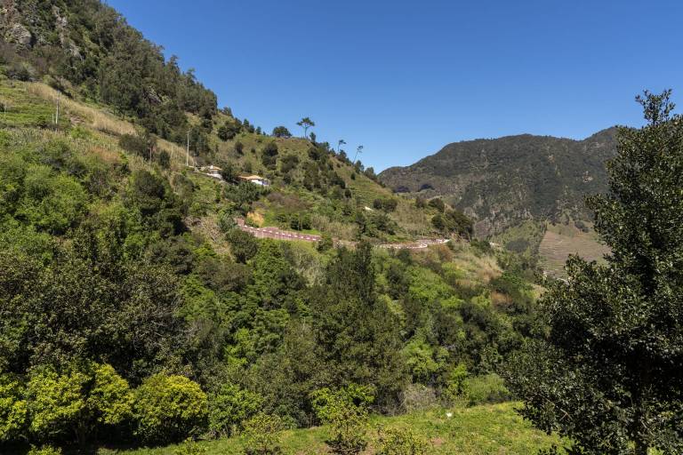 foto41