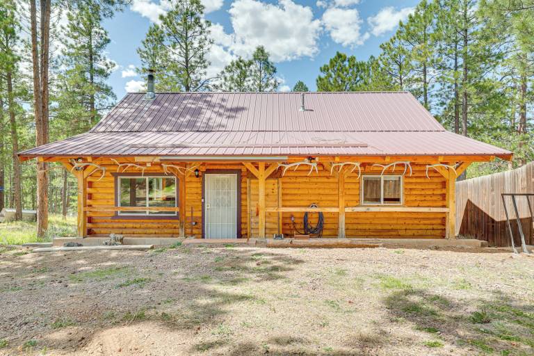 Cabin Alpine