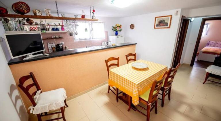Casa de Vacanta S&B — photo 5