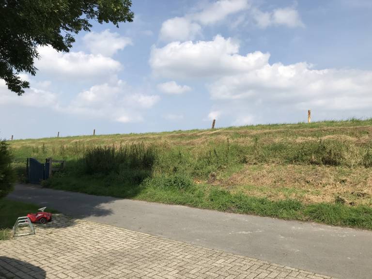 foto19