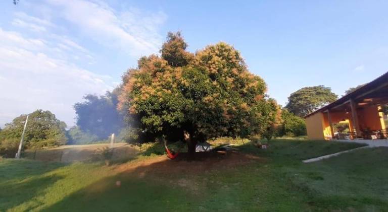 foto49