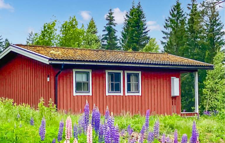 Ferienhaus in Hagfors f&uuml;r max. 4 Personen