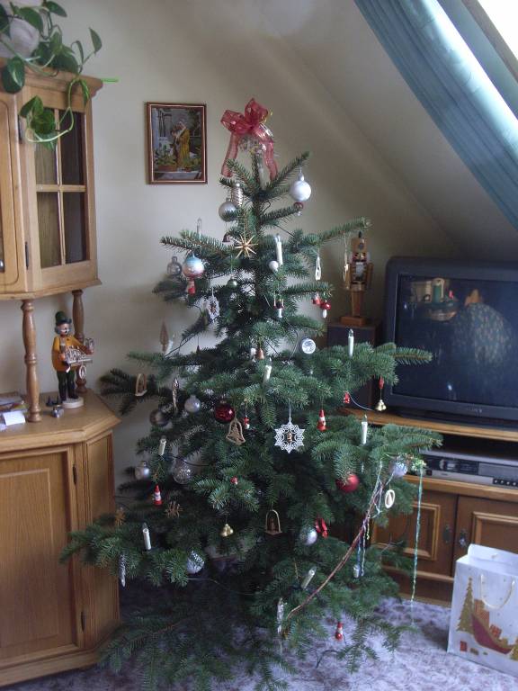 foto11