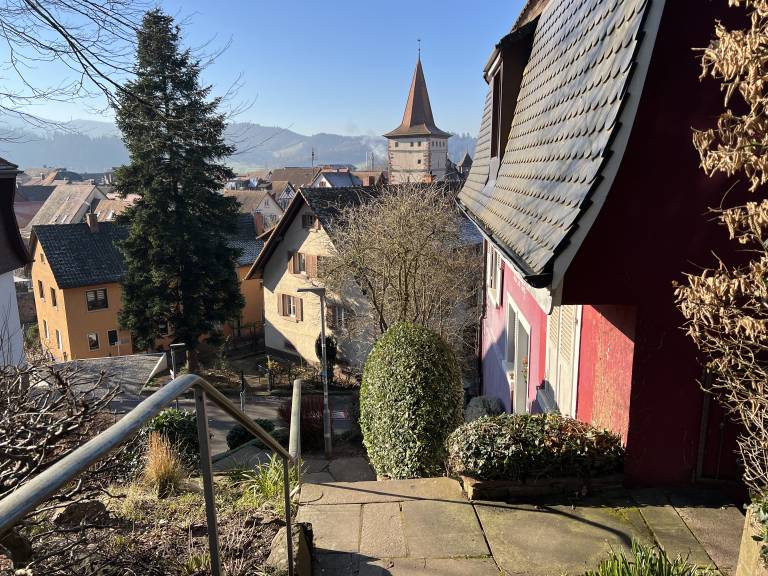 foto21