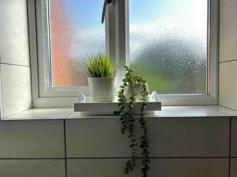 foto18