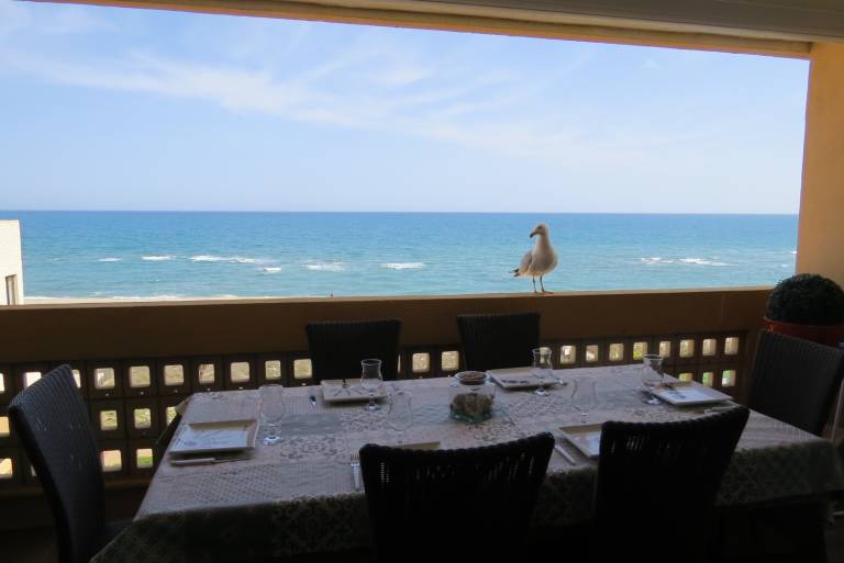 Appartement Port Leucate