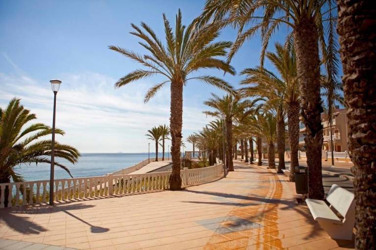 Apartamento Pilar de la Horadada
