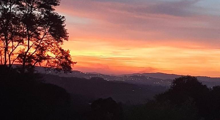foto41