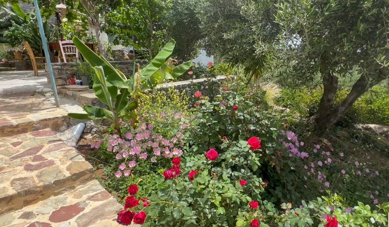 foto6