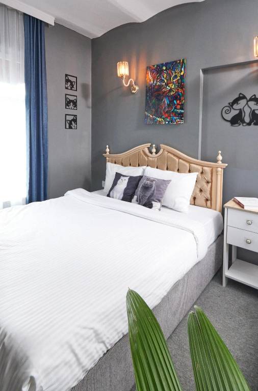 Galata Pearl Hotel in Istanbul