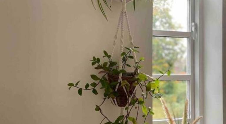 Apartment | Pet-friendly — photo 4