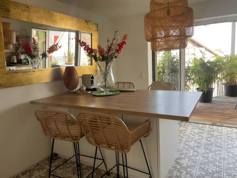 Holiday Apartment 'Seeapartment Höri' with Balcony and Wi-Fi — photo 5