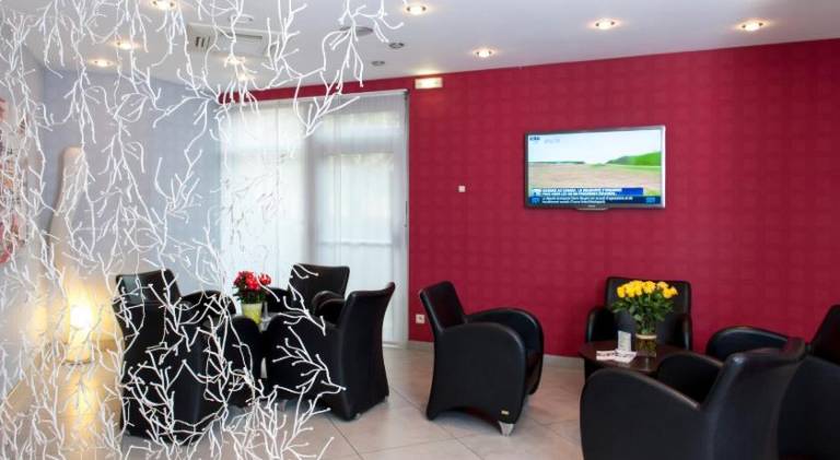 Brit Hotel Belfort Centre-Le Boreal — photo 4