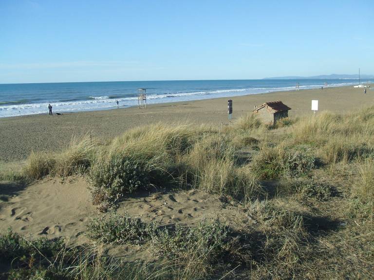 foto16