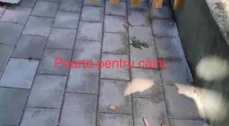 foto43