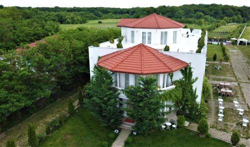 Bed and breakfast  Stănești