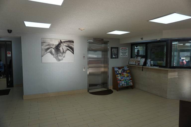 foto7
