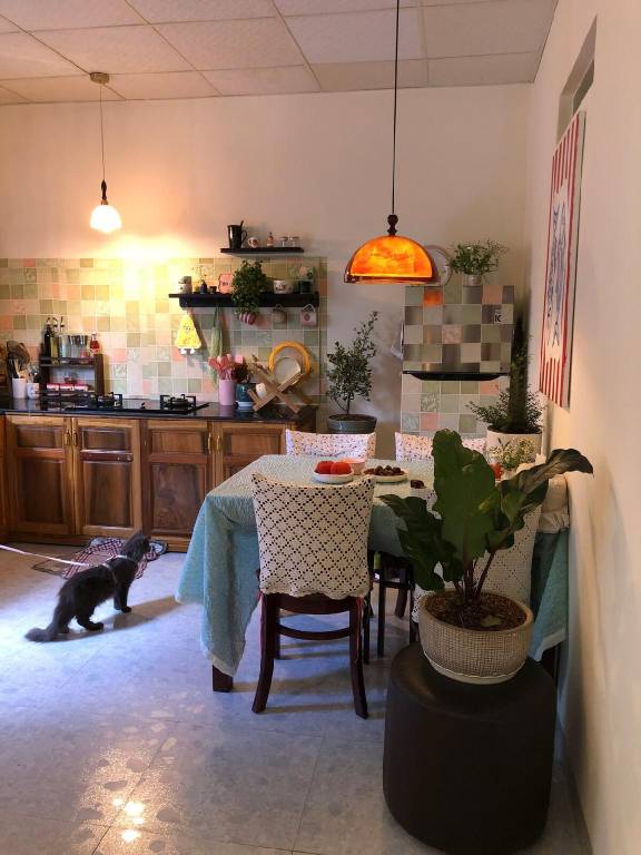 Vacation home | Pet-friendly — photo 3