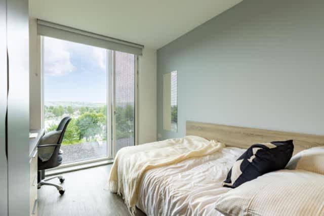 20 m&sup2; Ferienhaus