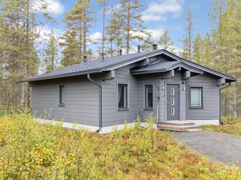 Vacation home with sauna — photo 4