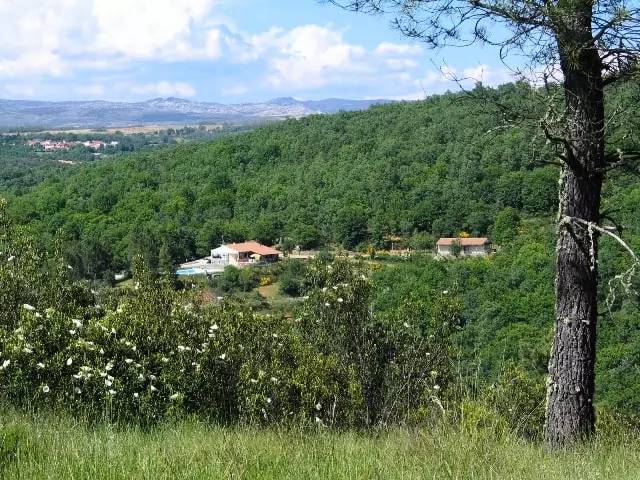 foto16