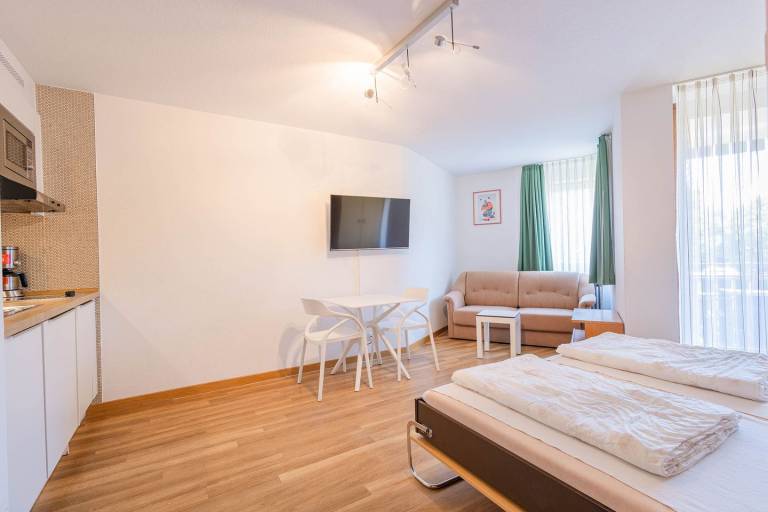 Ferienwohnung mit Hund in Immenstaad am Bodensee fuer max. 2 Personen