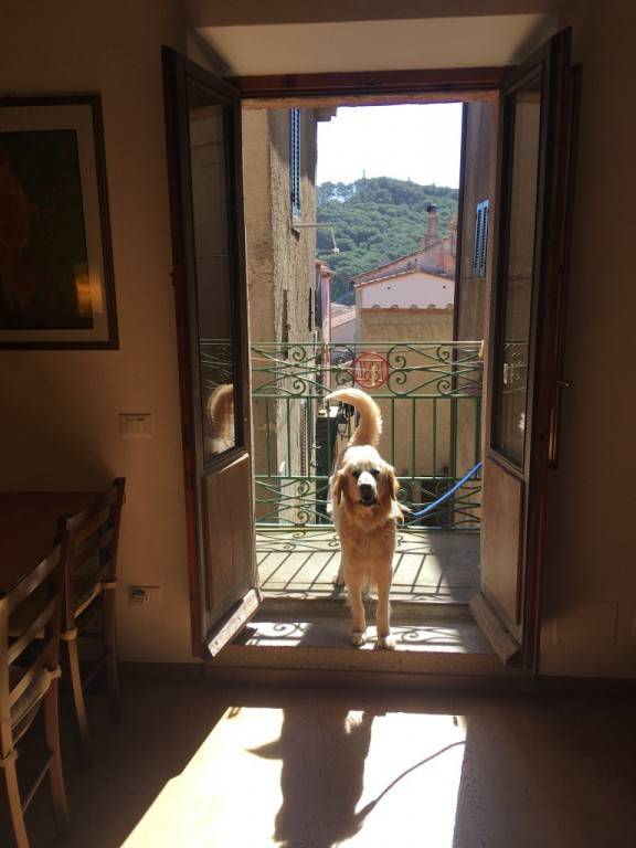 foto12