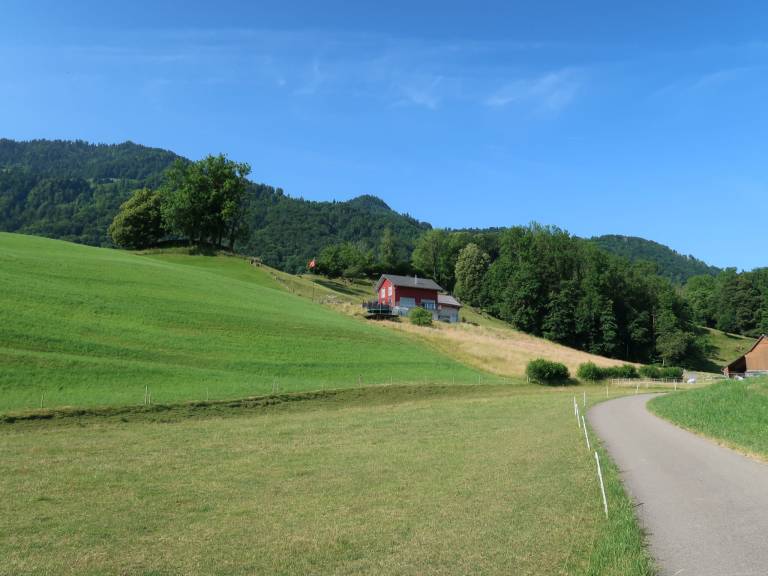 foto20