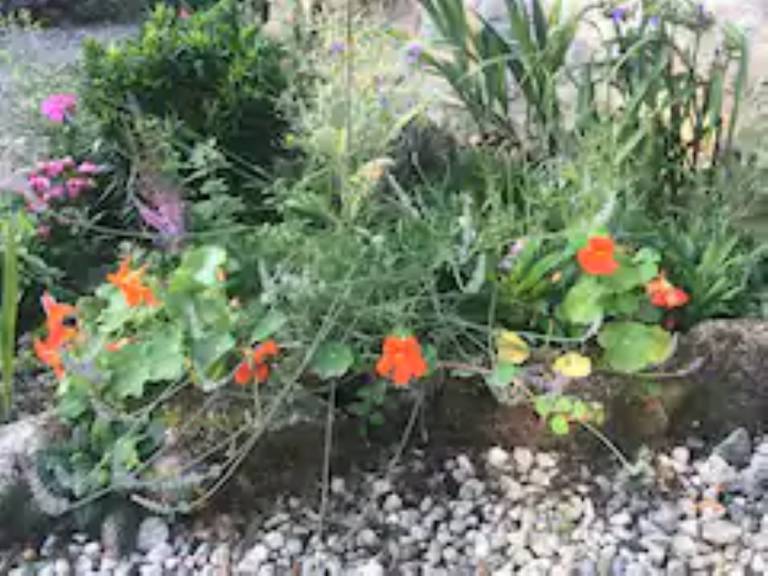 foto19
